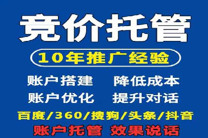 搜索引擎关键词竞价排名的策略调整与案例